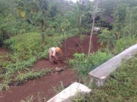 Antara Berkah dan Musibah Hujan Datang